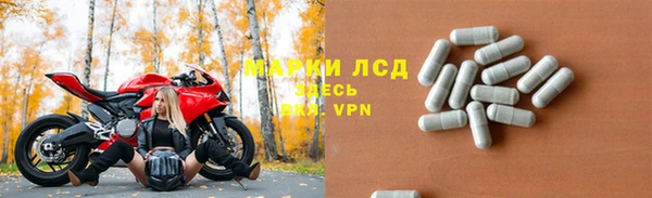 сатива Струнино