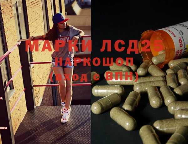 сатива Струнино